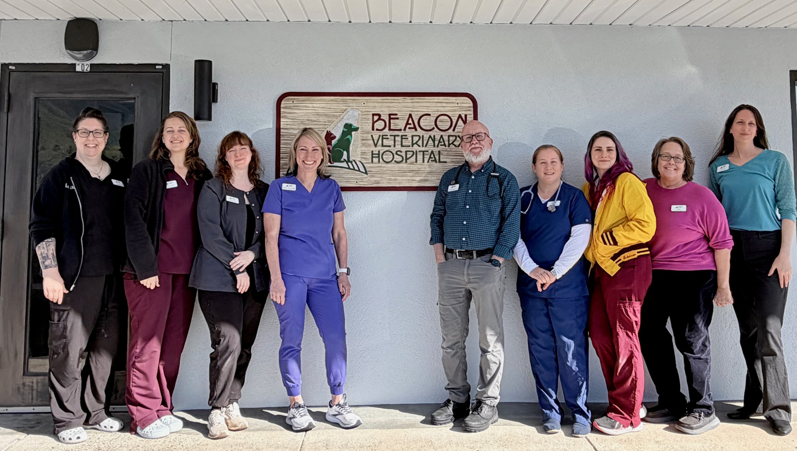 Veterinarian in Swannanoa, NC